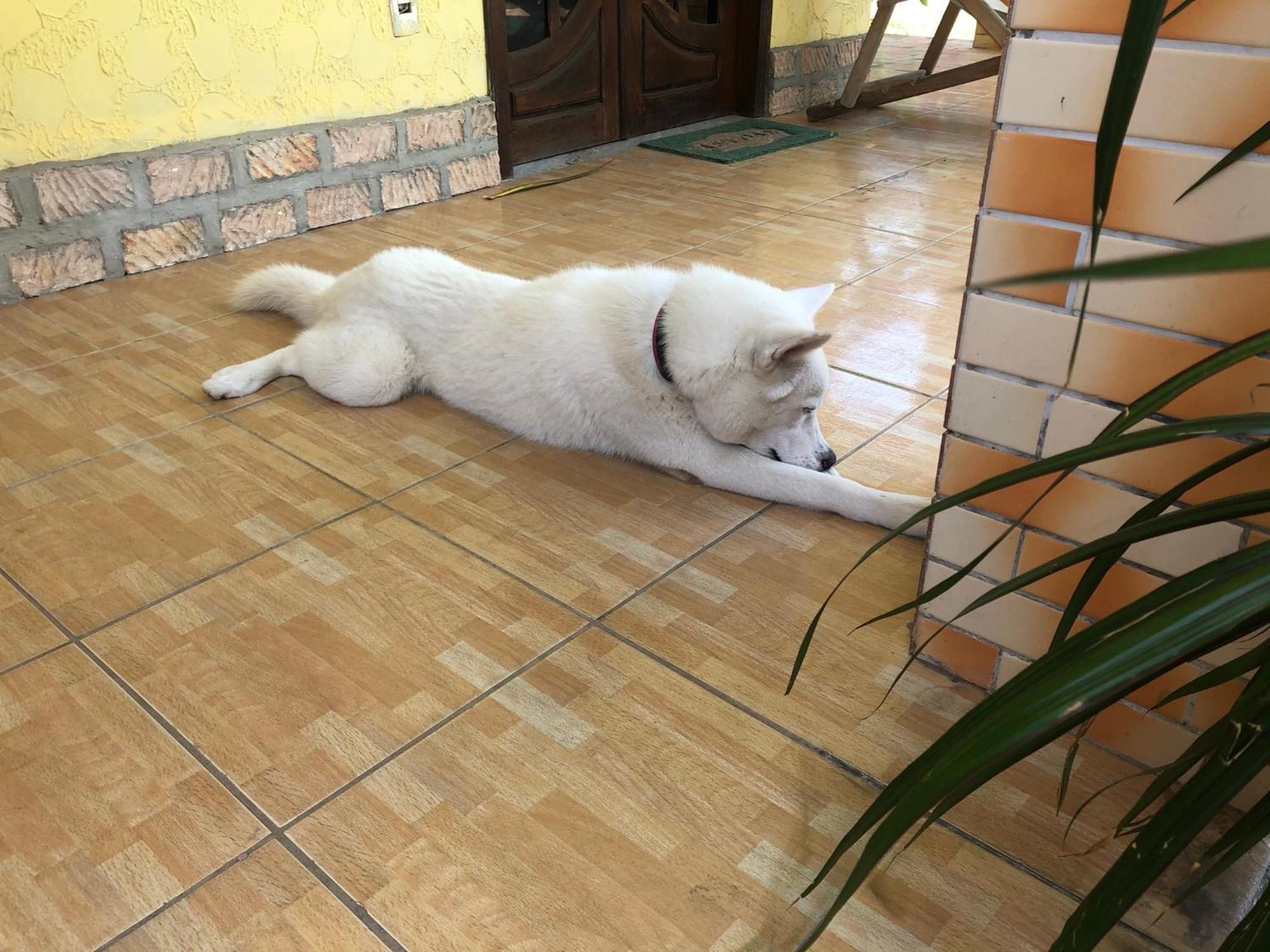 פראקורו Guest House Lua מראה חיצוני תמונה